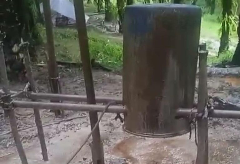 DARURAT HUTAN MUBA! GPP SUMSEL NYATAKAN PERANG: CABUT IZIN PT AGRINAS, TANGKAP MAFIA MINYAK BERKEDOK OKNUM ORMAS!”