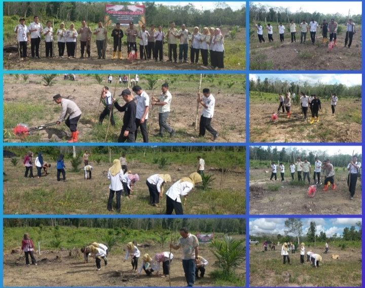 DUKUNG SWASEMBADA PANGAN, POLSEK RAMBANG GELAR PENANAMAN JAGUNG BERSAMA MASYARAKAT